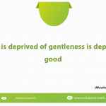 He who is deprived of gentleness is deprived of good