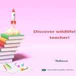 Discover wildlife! Be a teacher!