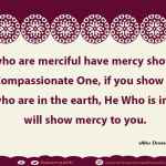 Those who are merciful have mercy shown them by the Compassionate One