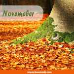 HELLO NOVEMBER