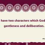 You have two characters which God likes; gentleness and deliberation.