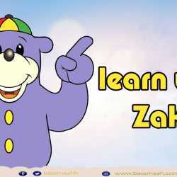 learn with Zaky