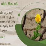 كن مع الله .. واصبر