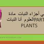 ماهي أجزاء النبات  مادة العلوم  أنا النبات  parts of plants