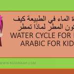 دورة الماء في الطبيعة كيف يتكون المطر لماذا تمطر Water Cycle for Kids Arabic for kids